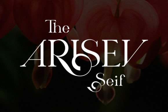 Arisev: A Modern Serif Font for Web Design Projects