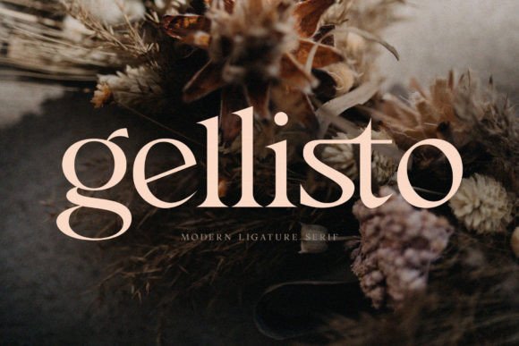 Gellisto: A Modern Sans Serif Font for Campaign Design